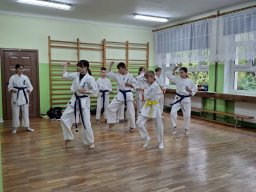 Pokaz karate w naszej szkole